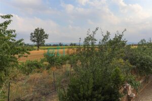 Villa indipendente con giardino a Case Nuove - foto 34